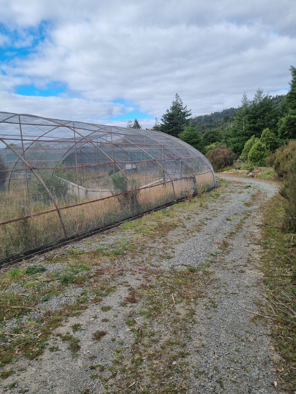 pukaha-mt-bruce01
