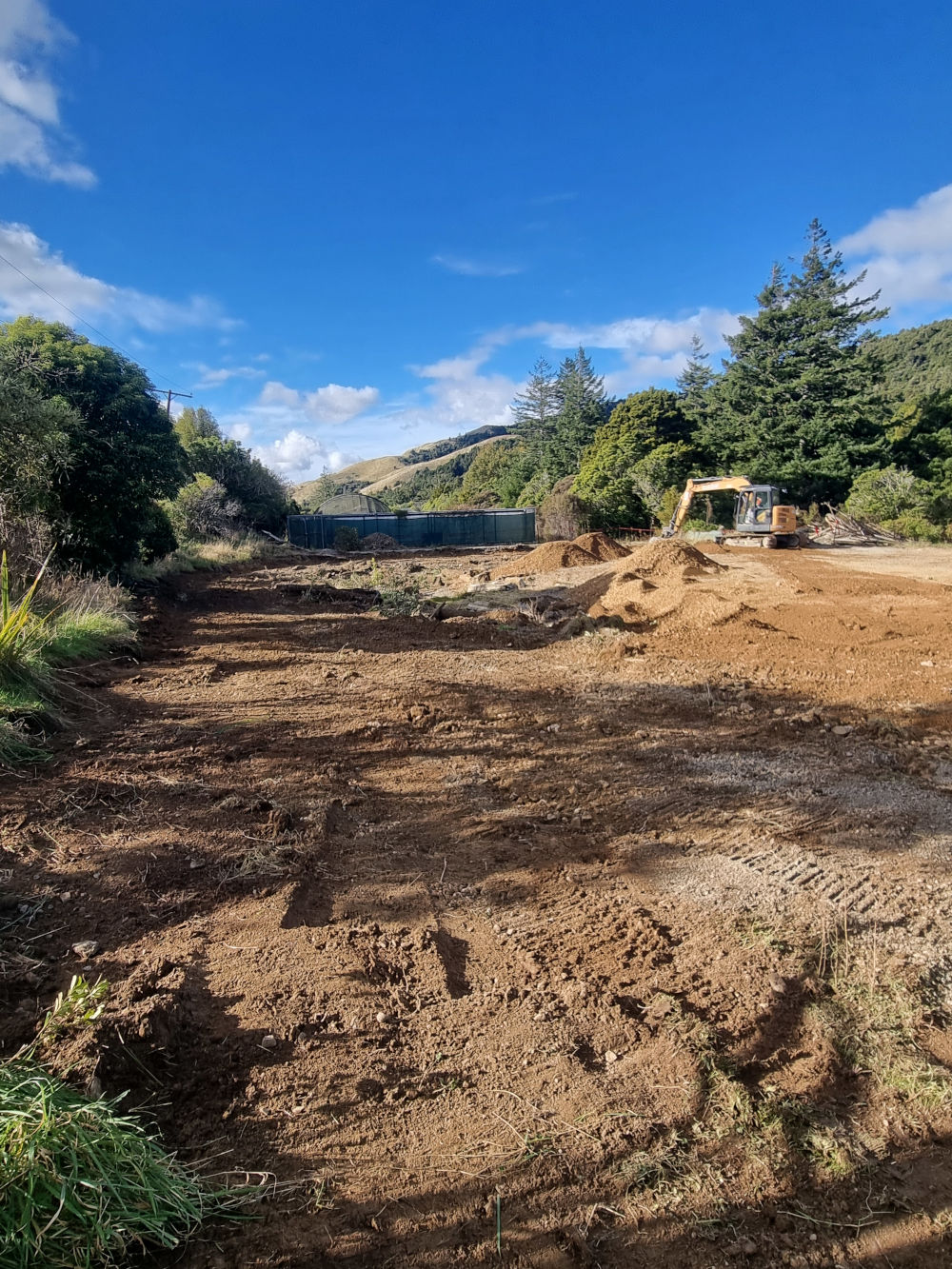 pukaha-mt-bruce02